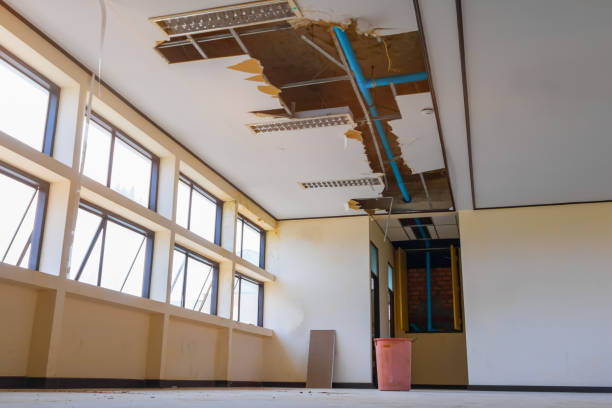 Best Professional water damage repair  in Bayshe, OR