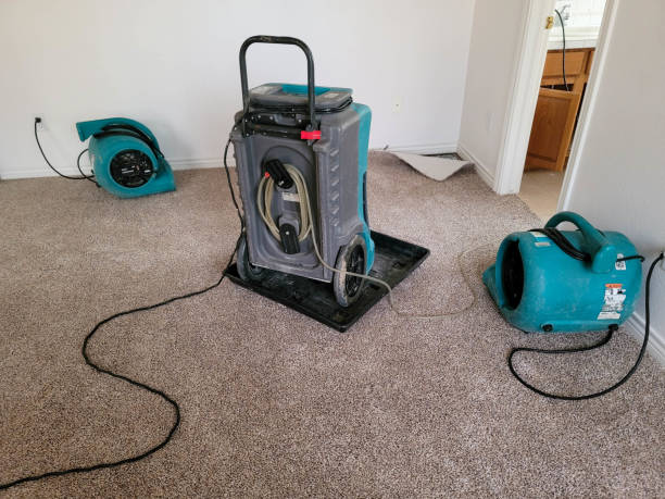 Best Local water damage restoration  in Bayshe, OR