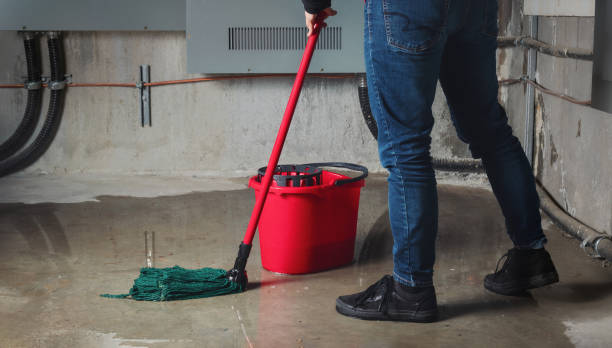 Best Ceiling water damage repair  in Bayshe, OR