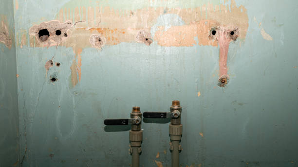 Best Flood restoration services  in Bayshe, OR