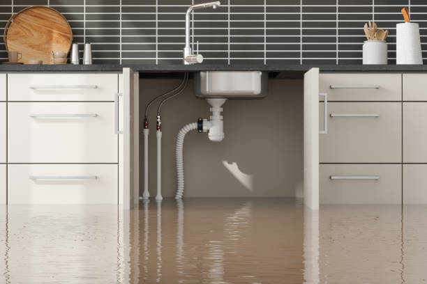 Best Water damage restoration near me  in Bayshe, OR