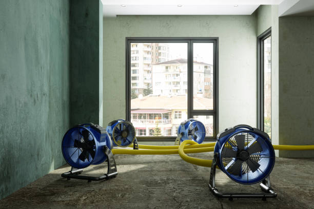 Best Mold removal after water damage  in Bayshe, OR